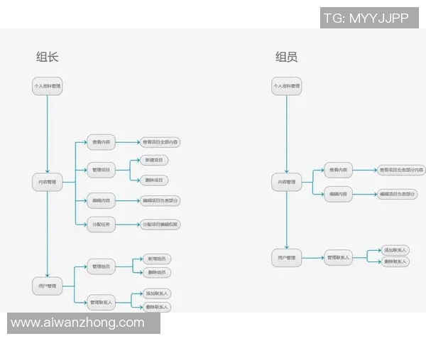 重庆排球队的阵地战解析：战术布局与团队协作的深度剖析