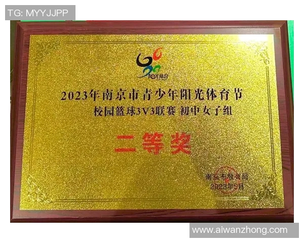 南京篮球队在全国锦标赛中的团队协作表现分析与点评